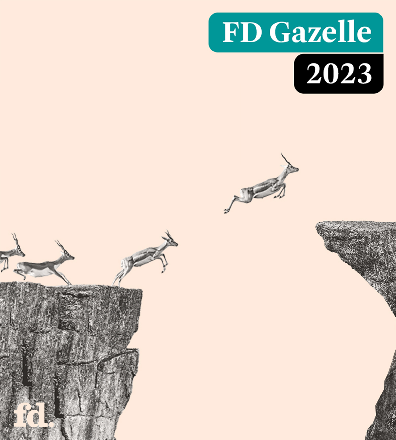 Global Mounts Group gana el prestigioso premio FD Gazelle