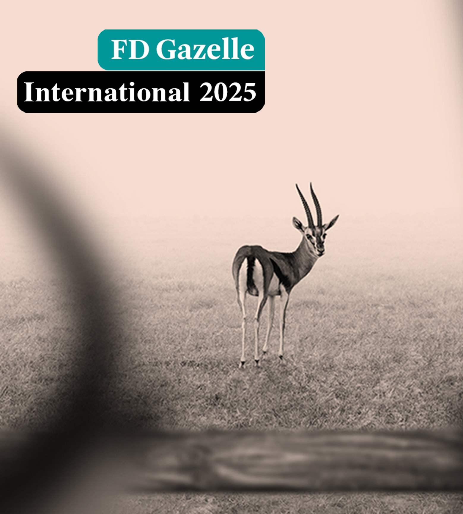 Global Mounts Group recibe el título FD Gazelle International 2025