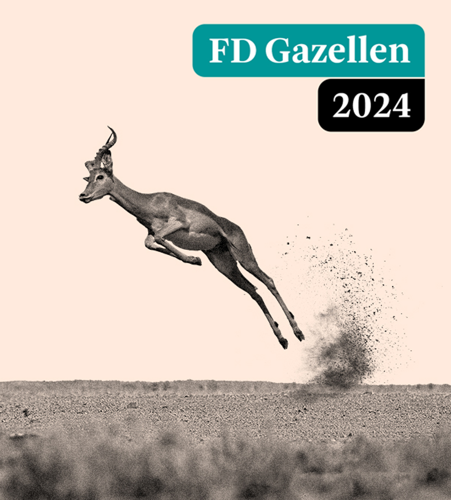 Global Mounts Group gana el Premio Gazelle FD 2024